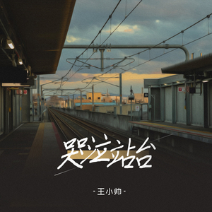 懒猫漫画免费浏览入口网页版
