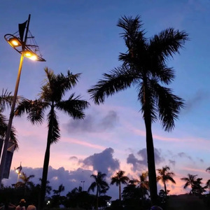 懒猫漫画免费浏览入口网页版
