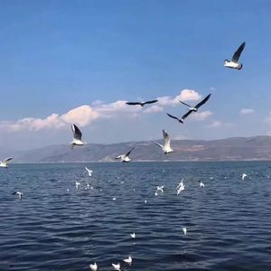 懒猫漫画免费浏览入口网页版
