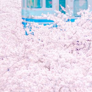 懒猫漫画免费浏览入口网页版
